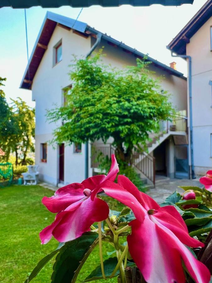 Apartman Amila SJJ Extérieur photo
